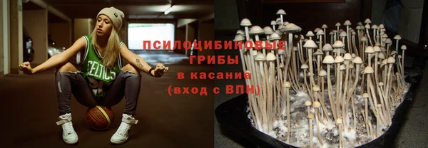спайс Алексин