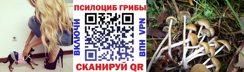 Галлюциногенные грибы ЛСД  Алушта 